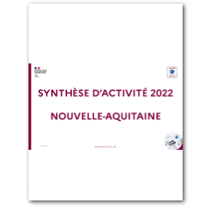 Vignette de la synthèse d'activité 2022 - Nouvelle-Aquitaine